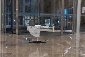 Designing for Safety